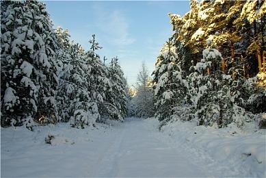 《喷射战士3》今年夏季发售 新预告展示打工模式