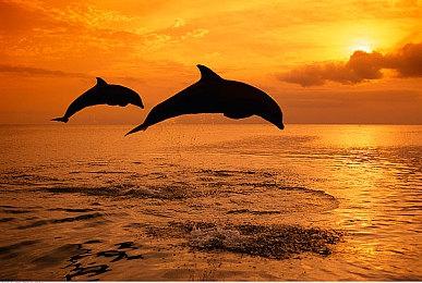 《记忆边境》小幅度延期 现已调整为8月18日发售